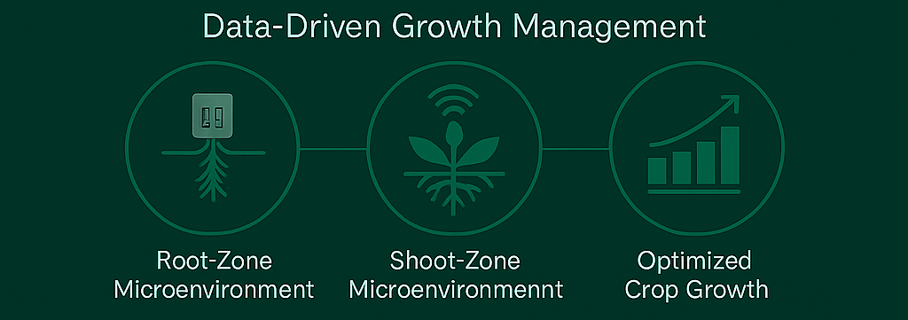 Data-Driven Growth Management